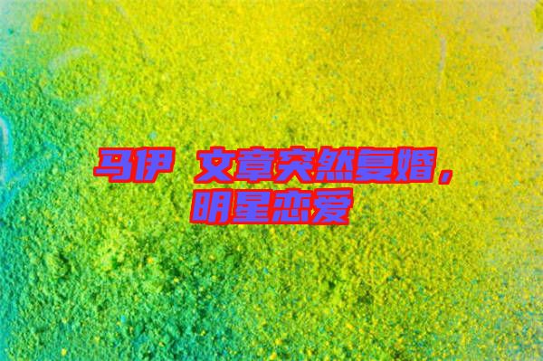 馬伊琍文章突然復(fù)婚，明星戀愛