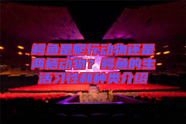 鱷魚是爬行動物還是兩棲動物？鱷魚的生活習性和種類介紹