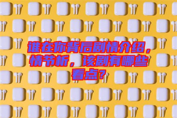 誰在你背后劇情介紹，情節(jié)析，該劇有哪些看點？