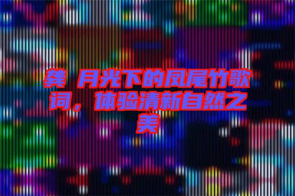 龔玥月光下的鳳尾竹歌詞，體驗清新自然之美