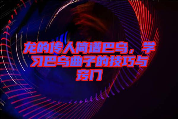 龍的傳人簡譜巴烏，學(xué)習(xí)巴烏曲子的技巧與竅門
