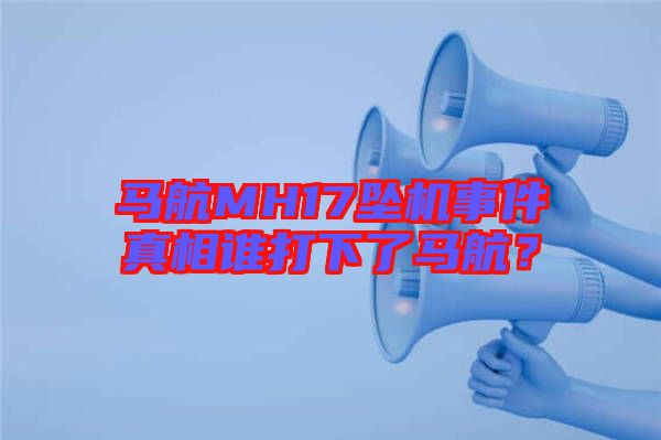 馬航MH17墜機事件真相誰打下了馬航？