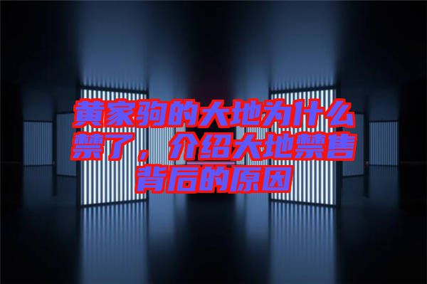 黃家駒的大地為什么禁了，介紹大地禁售背后的原因