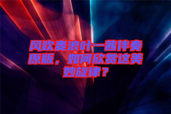 風(fēng)吹麥浪葉一茜伴奏原版，如何欣賞這美妙旋律？