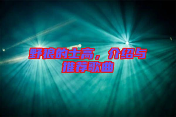 野狼的士高，介紹與推薦歌曲