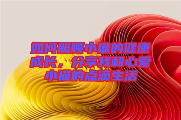如何照顧小貓的健康成長(zhǎng)，分享我和心愛(ài)小貓的點(diǎn)滴生活