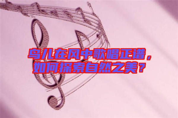 鳥(niǎo)兒在風(fēng)中歌唱正譜，如何探索自然之美？