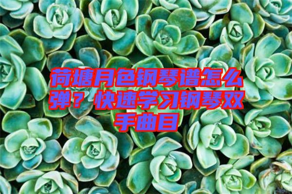 荷塘月色鋼琴譜怎么彈？快速學(xué)習(xí)鋼琴雙手曲目