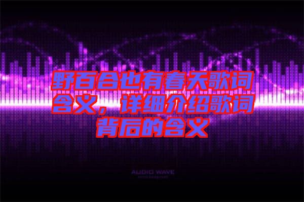 野百合也有春天歌詞含義，詳細介紹歌詞背后的含義
