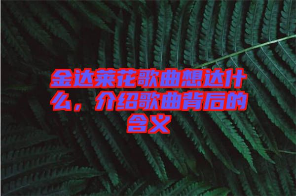 金達(dá)萊花歌曲想達(dá)什么，介紹歌曲背后的含義